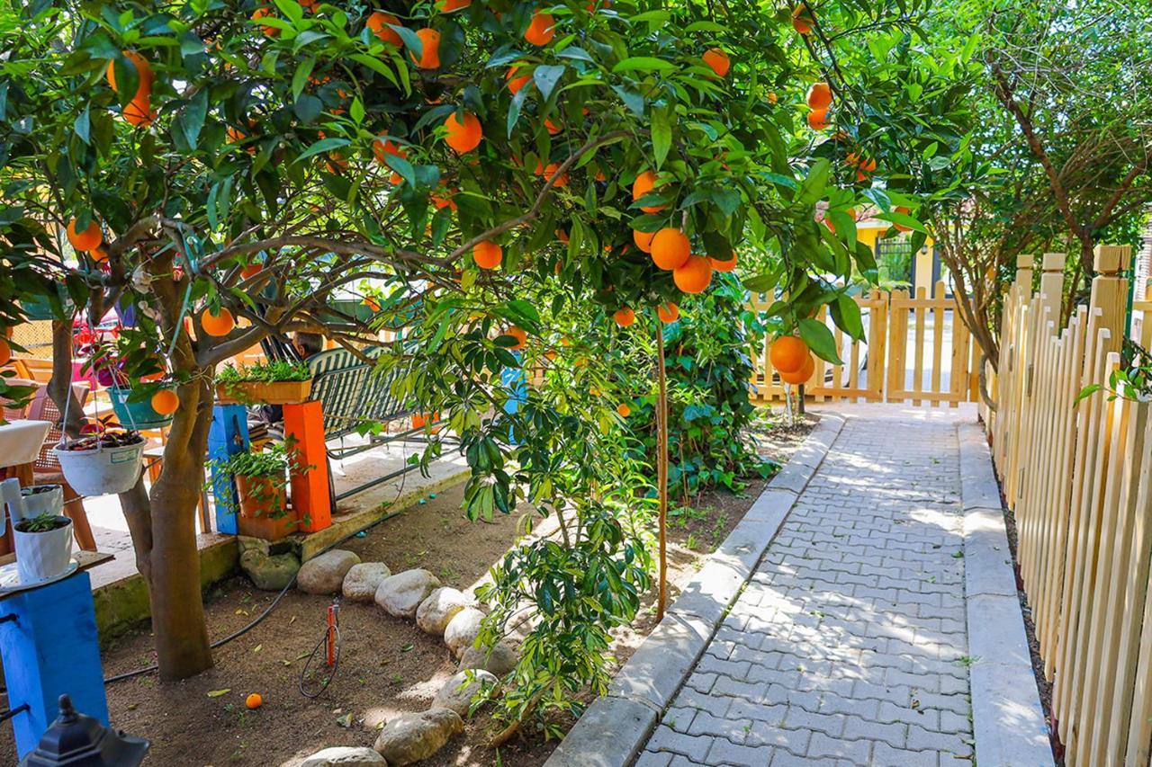 Çıralı Three Islands Bungalow المظهر الخارجي الصورة