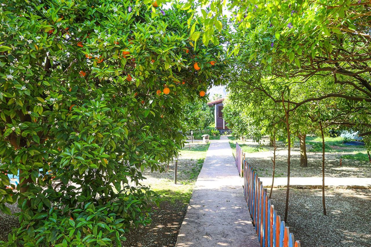 Çıralı Three Islands Bungalow المظهر الخارجي الصورة