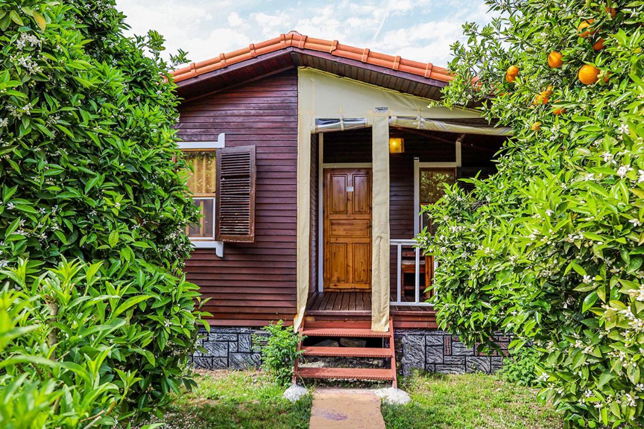 Çıralı Three Islands Bungalow المظهر الخارجي الصورة