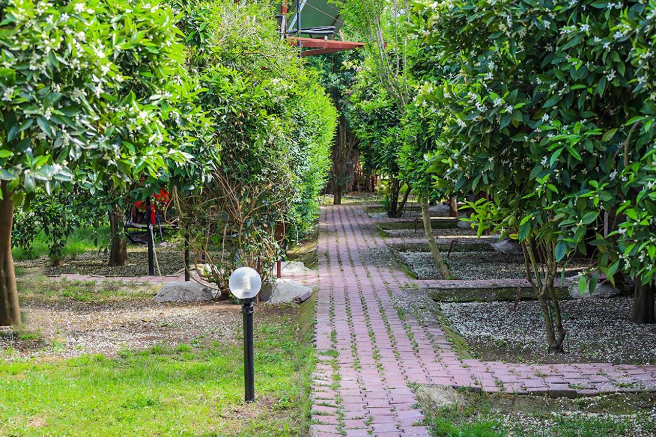 Çıralı Three Islands Bungalow المظهر الخارجي الصورة